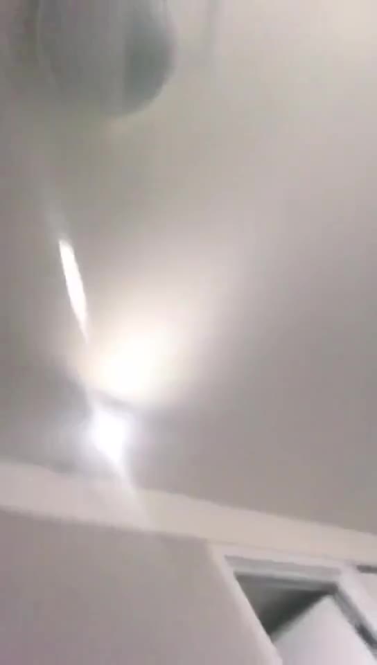 JOJO 和闺蜜一起虐家犬2