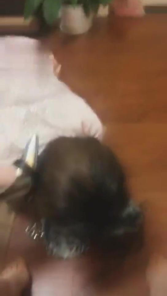 Verin维因 双s调母狗,口舌钻垮sp 
