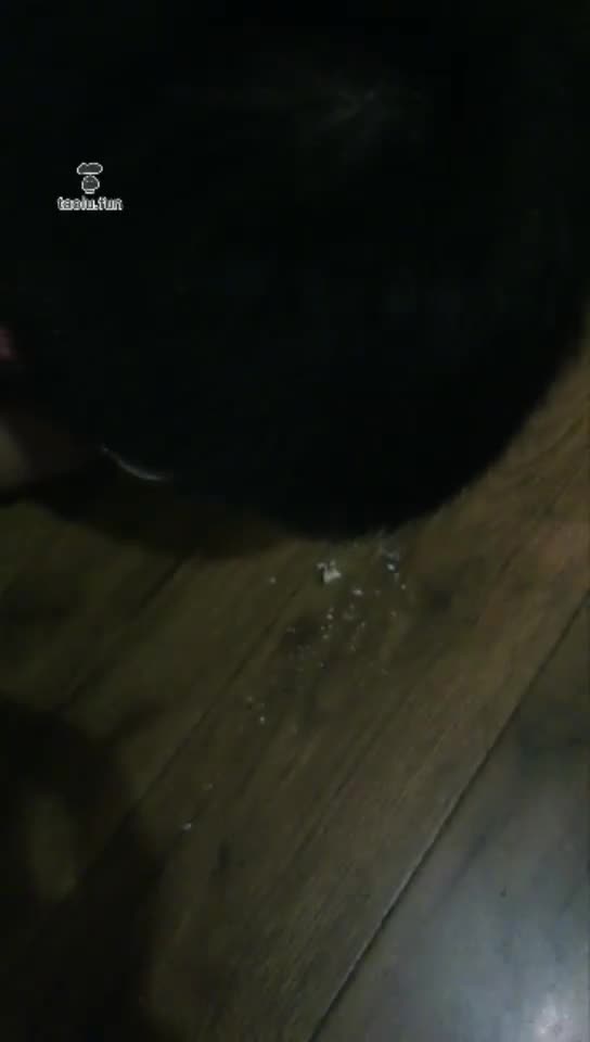 鸢葵和酷奇 双主调教把垃圾狗摧残走了 废物东西 