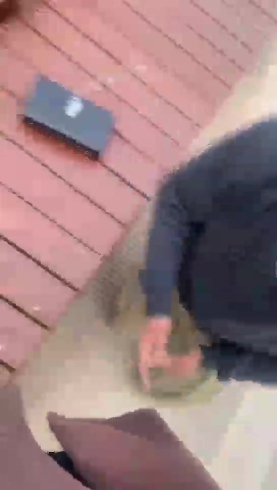 悠然 公园溜狗 户外调狗 