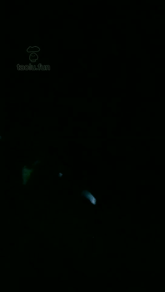 雅儿 高清 深夜户外遛狗 51分钟  