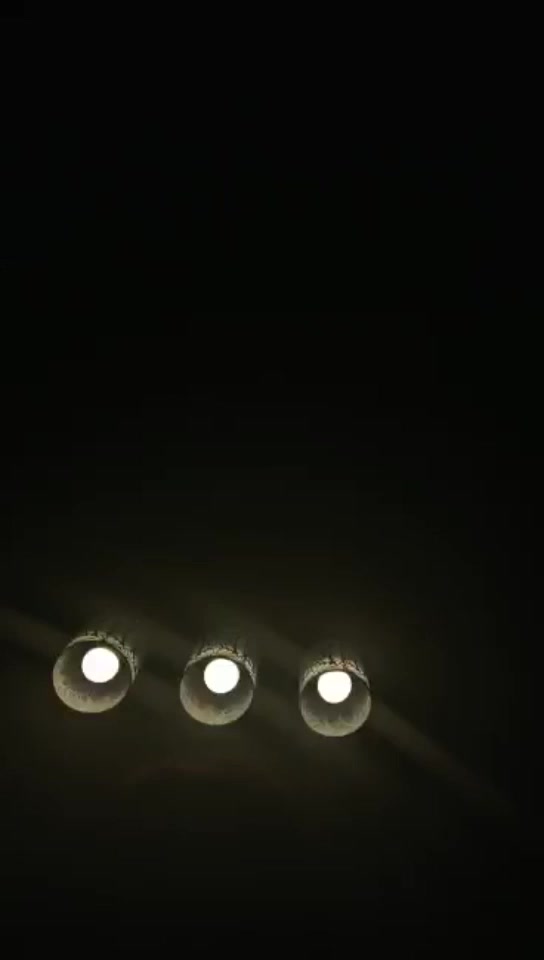 可可大大 羞辱公狗 