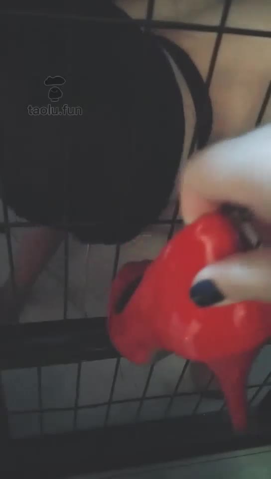 The dog in the cage licks its feet and tramples
