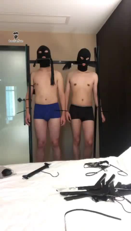 HD, training twin slaves, continued