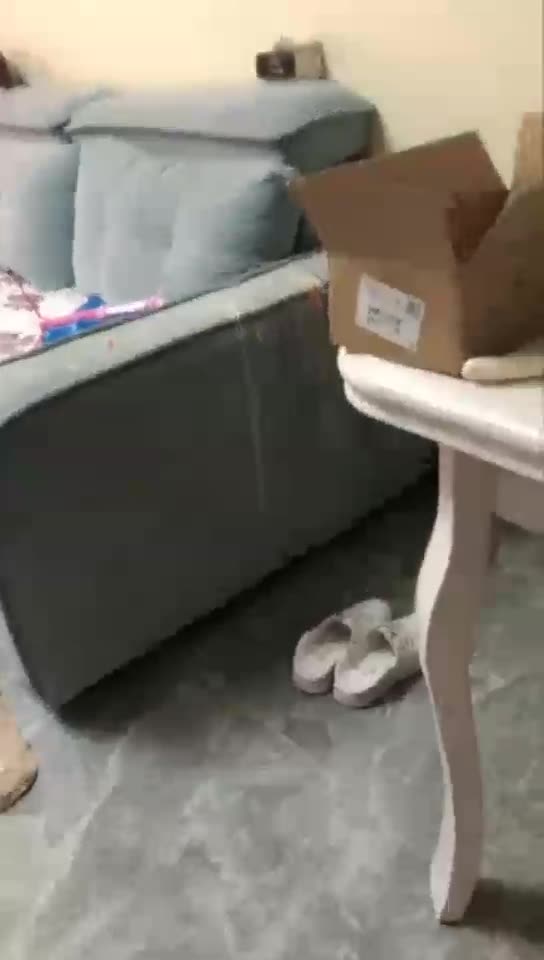 安主 恋足狗直播 刑奴直播中两部合集 