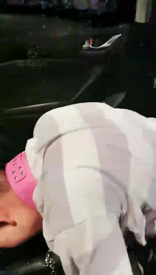 刘小欠 高清 户外车里上课!小乖上门求虐