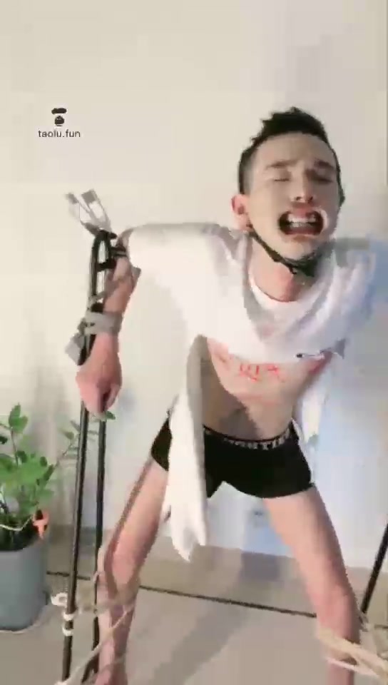 懋琳Studio 虐乳 猫粮脚喂食 