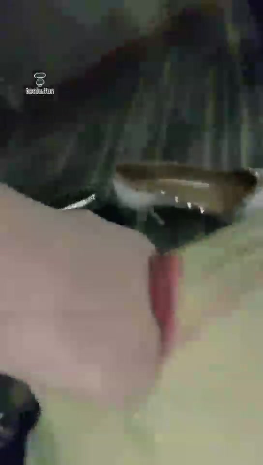 成都叶子 酒店素人一起现实生活棉袜 