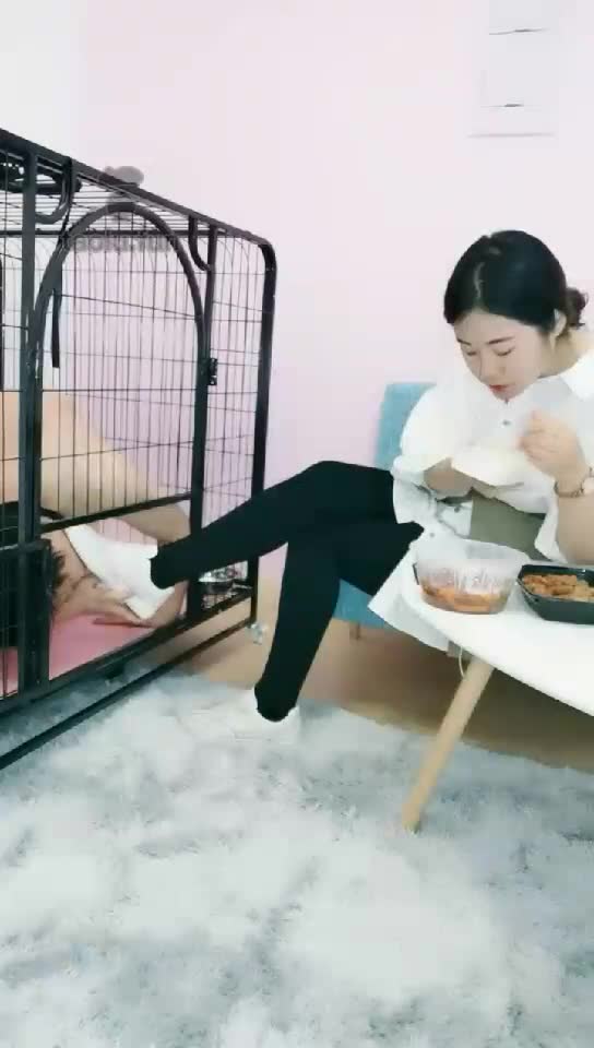 雪儿 圈养日常 遛狗 做狗饭 舔鞋底 