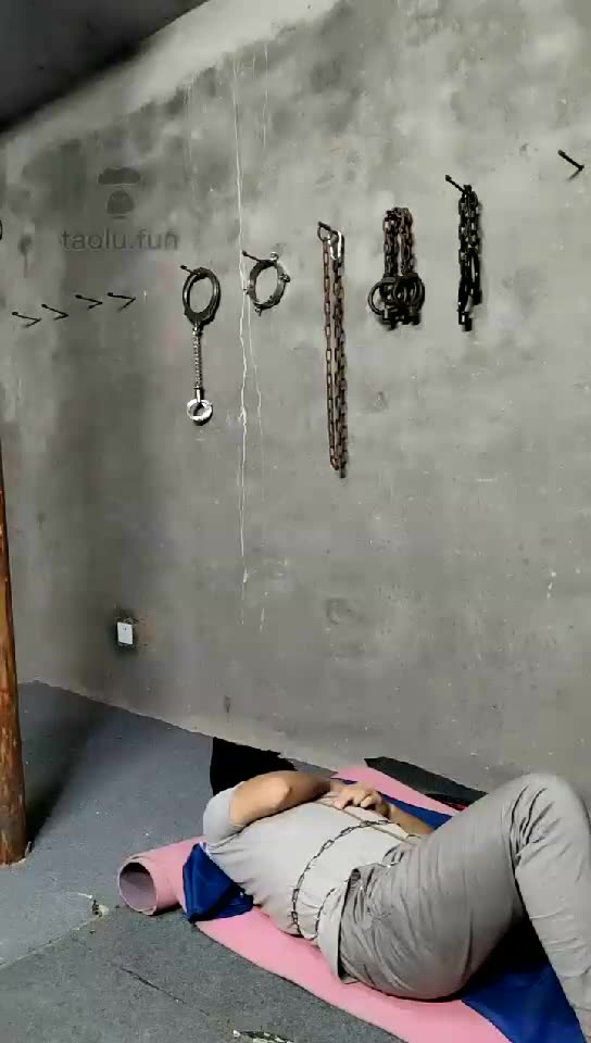 青青美少女 女王与新狗狗 