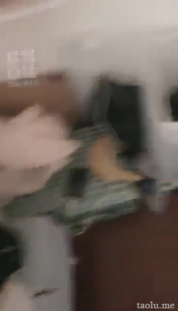 女暴君 小星与蠢蛋日常 调皮的下场 
