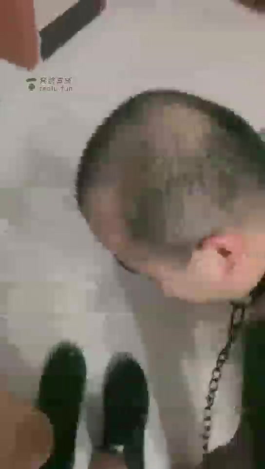 不田 楼道双S调狗 