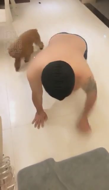 汐月 偷舔我脚的贱狗鞭子教你做人 