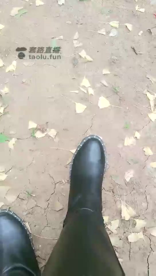 媚娘女王 公园调教狗子舔靴子舔黑丝 