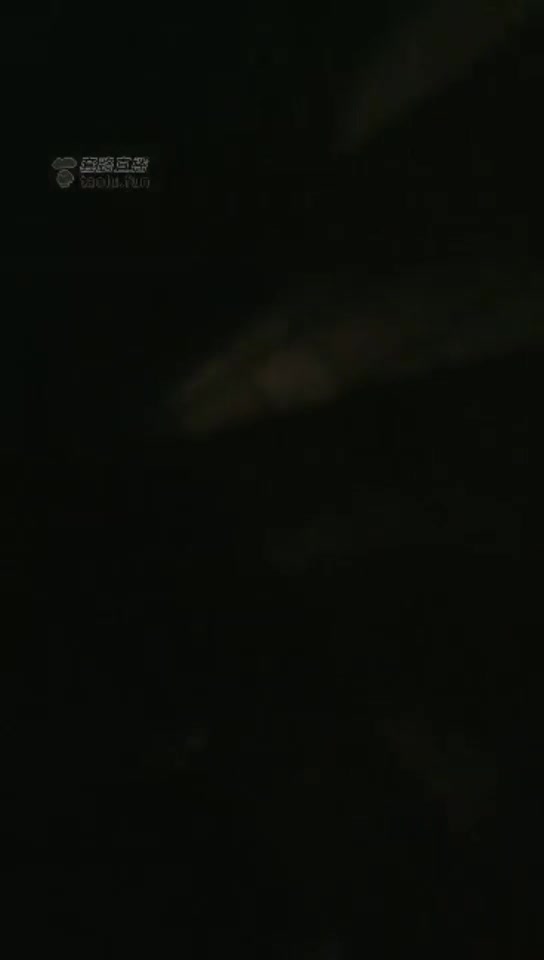 糖糖 引诱滴滴司机做狗 真实开发 