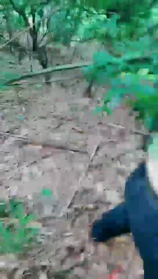 佩偲女王 双主野外虐狗 