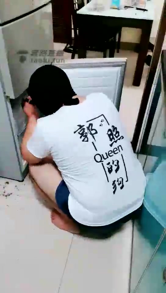 郭照Queen 监督家务狗 