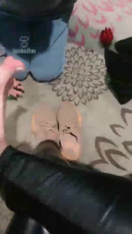 摇摇殿下 一个老狗一个小狗伺候 