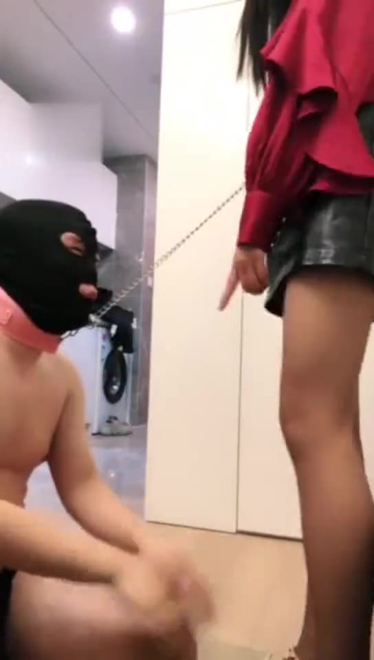 摇摇殿下 大长腿御姐调小奶狗 