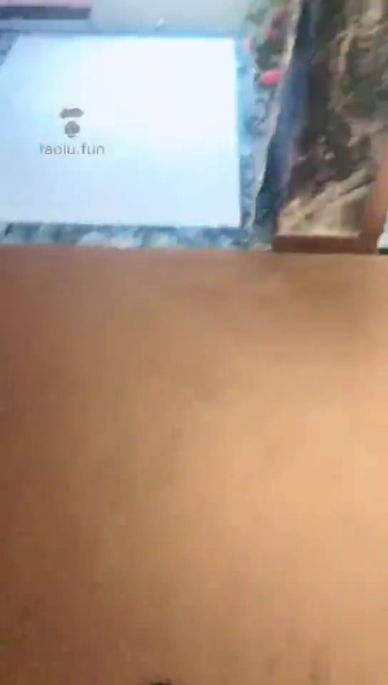 摇摇殿下 直播调狗黑丝虐狗 深喉 