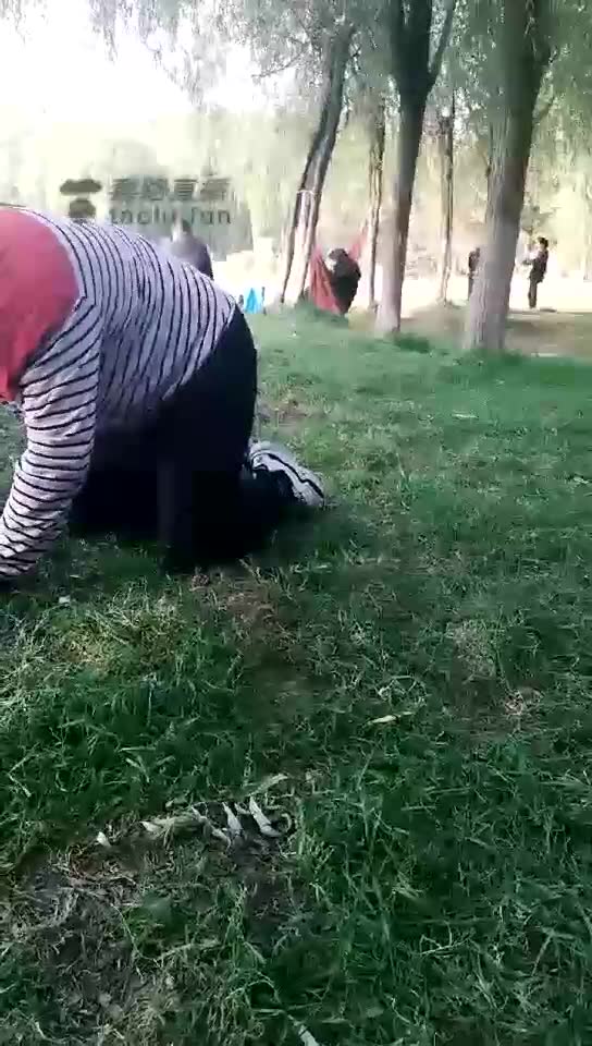 丝皇女王 公园玩耍圈养狗 