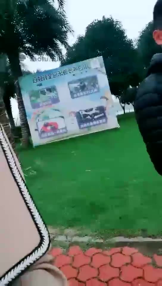 雪王 户外调狗 大草坪骑马 