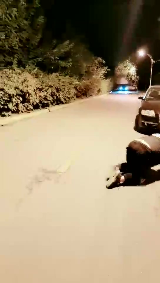 墨云 深夜 户外遛狗骑大马 爽 