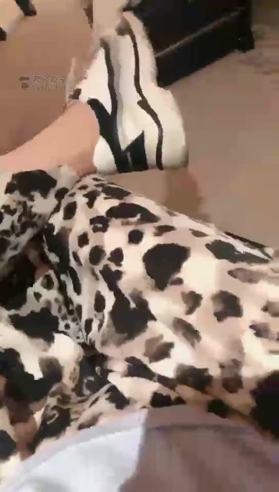 惠子大小姐 双主踢裆虐狗 