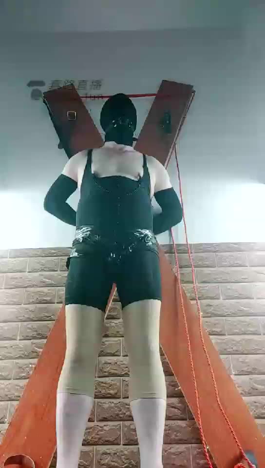 东营天香百合 上刑CD狗 