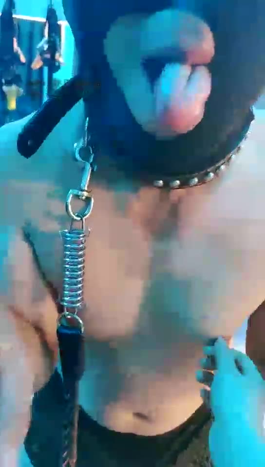 东营天香百合 胯下狗肆意羞辱 在主人脚下抬不起头来 