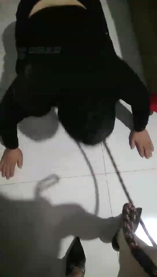梦瑶夫妻主 高清 出来看主人调教狗子了 