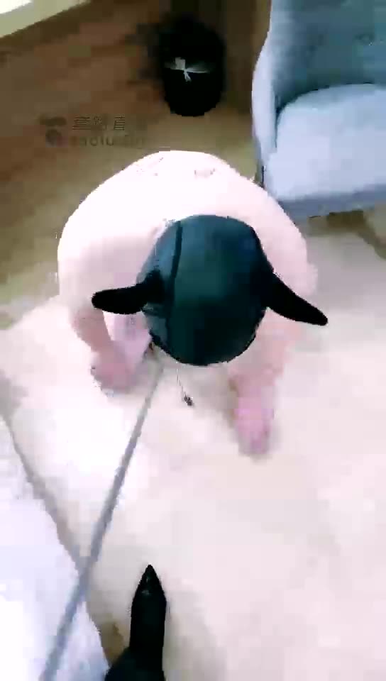 南妮Queen 狗奴药吸教育刚归圈狗 