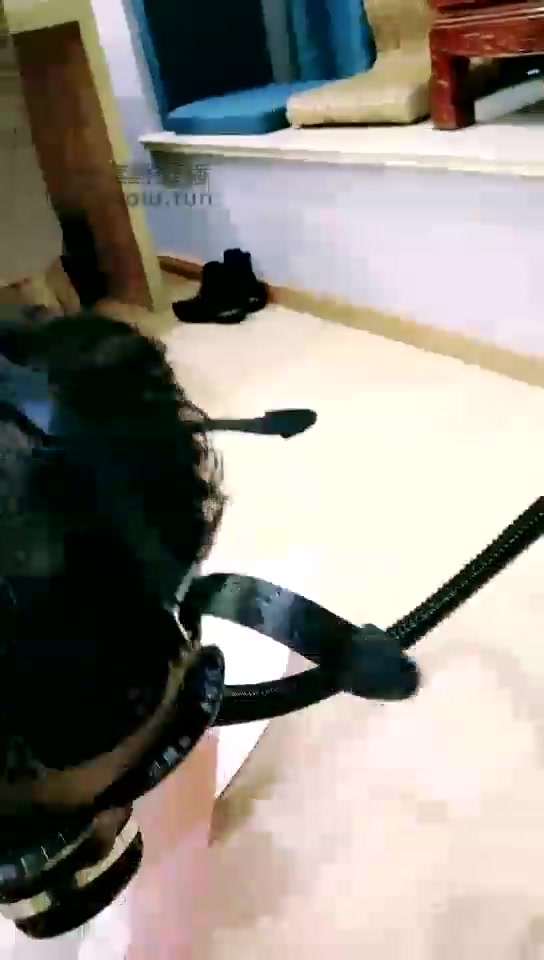 南妮Queen 狗奴药吸教育刚归圈狗 