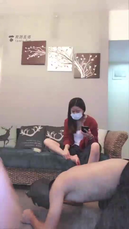 叶子 高清 美学女王来作客 家畜表演时间 