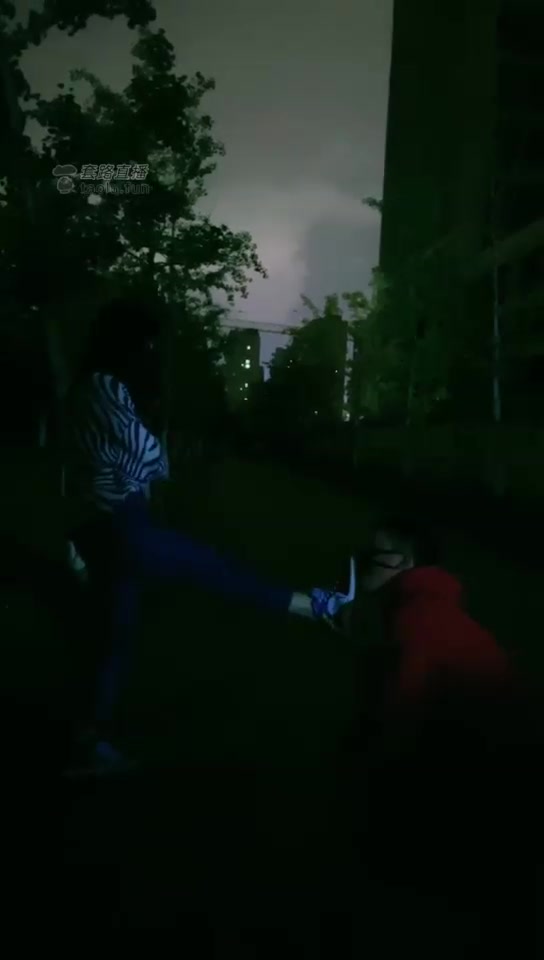 西安王妃 高清 户外遛狗 舔鞋 亲脚 耳光 骑马 