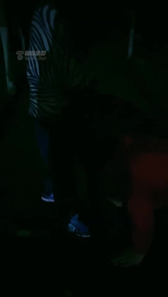 西安王妃 高清 户外遛狗 舔鞋 亲脚 耳光 骑马 