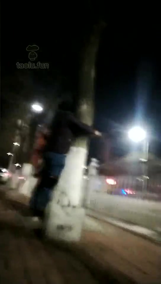 Verin维因 冬季遛非物狗东西 户外调教 