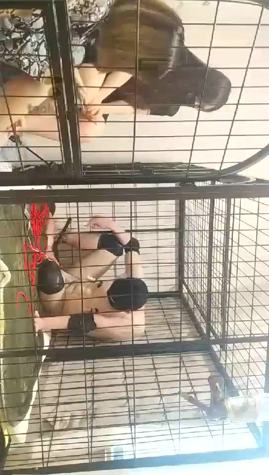 Verin维因 虐哭 电奴 双S 