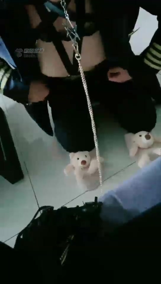 短发 高清 飞行员带着骚劲来了 