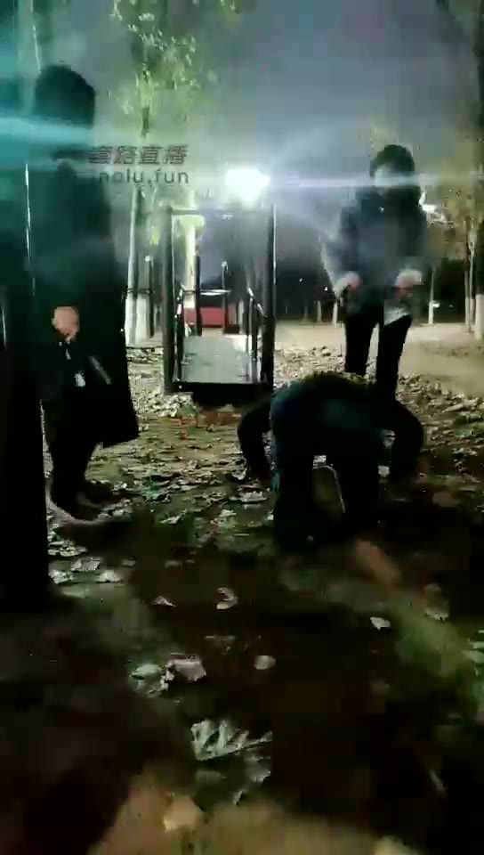 笨笨狼 户外双主训狗 