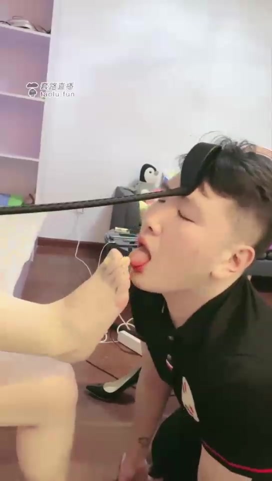 京韵 高清 玩小奶狗 舔高跟舔脚丫脚喂食 钻胯 