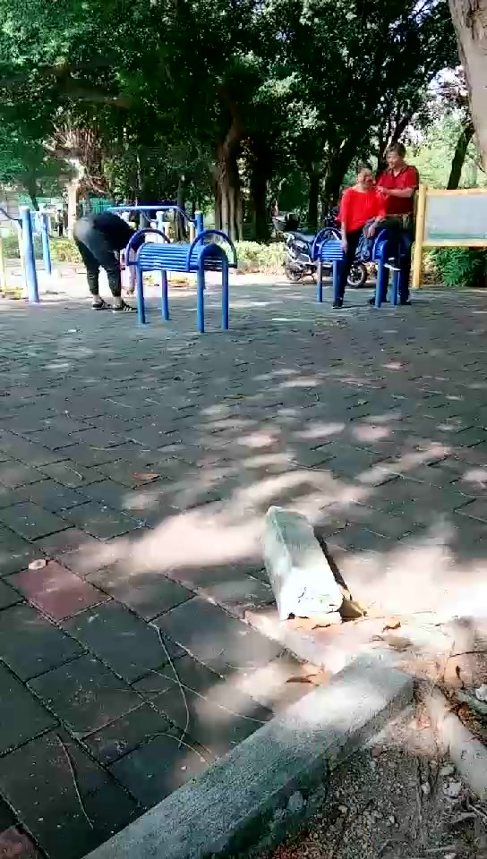 郭照Queen 户外体罚课下集 