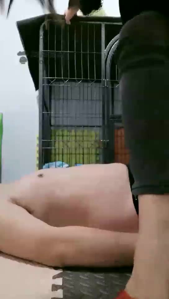 优那yona 圈养狗的日常 