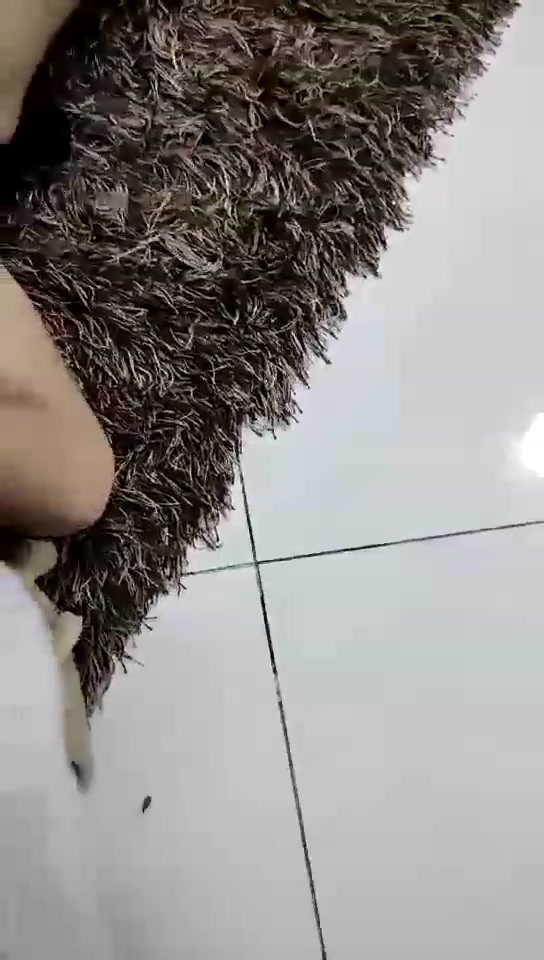 天使 调教爱舔脚的狗 真下贱 