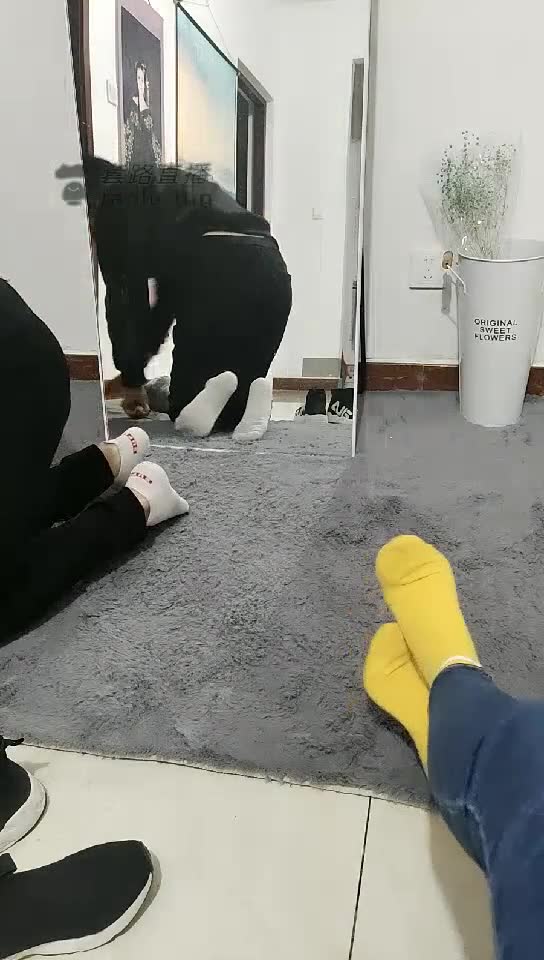 冰女王 可爱黄棉袜调教女奴 