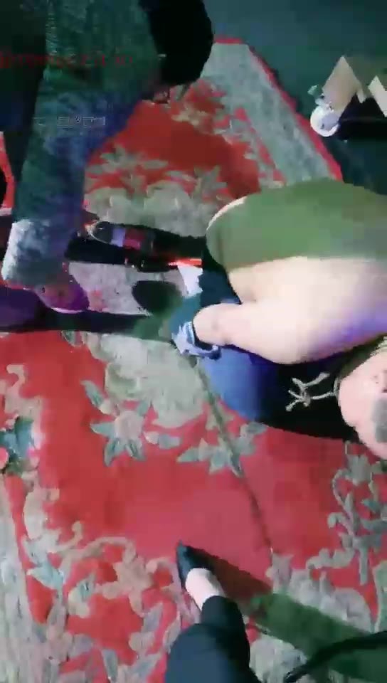 高傲 玩玩小乌龟 