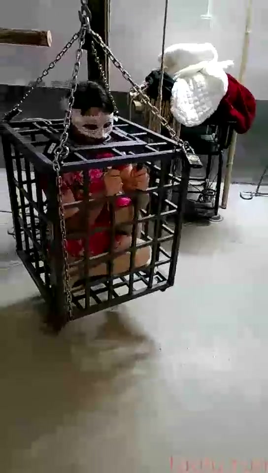 佛山囚园 美女被关笼子 