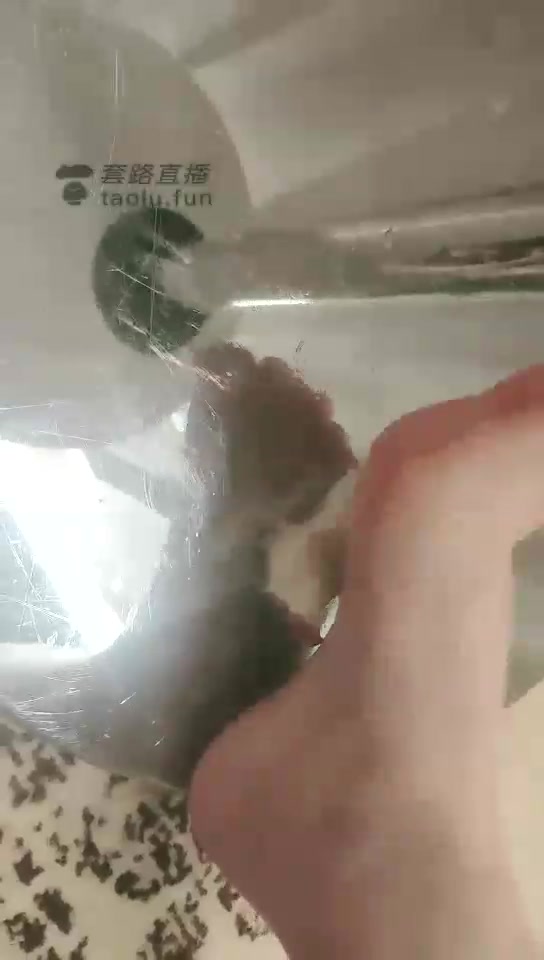 极品月色 超美裸足踩水果 吃什么苹果 吃脚指吧 