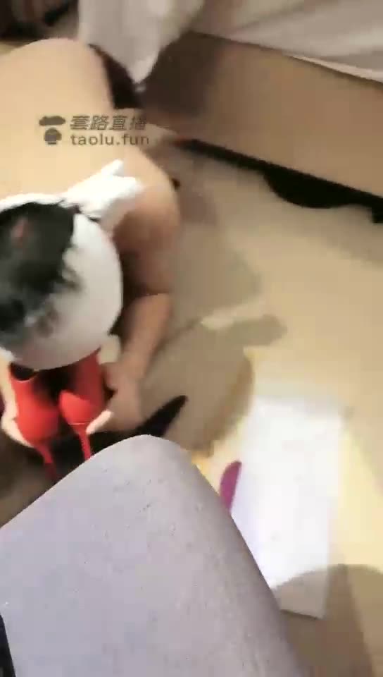 梦陌情侣斯 调教一个腼腆的狗 