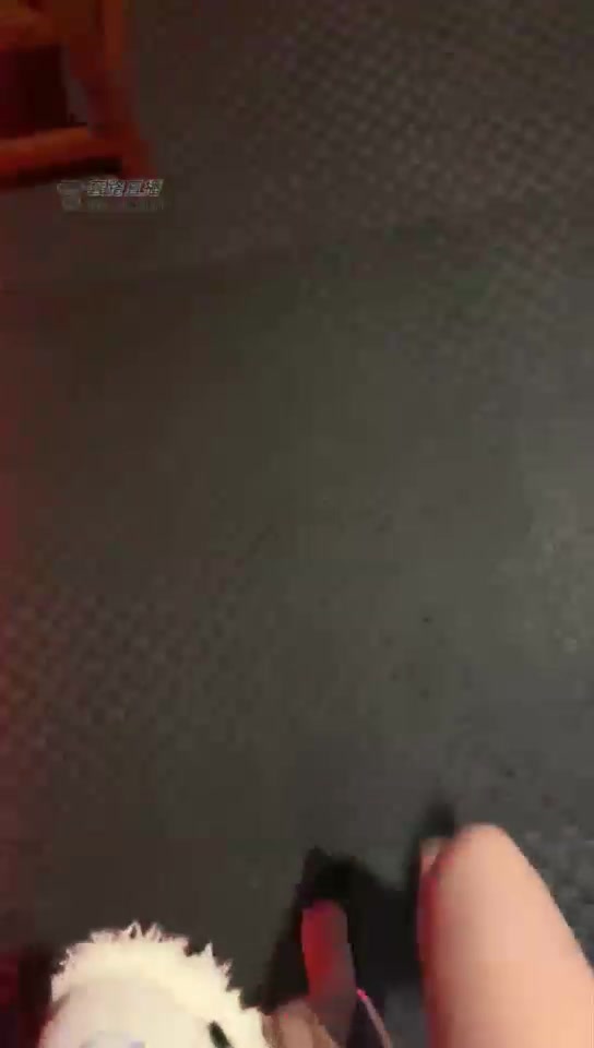 Fiona大人 圈养狗子的一天 